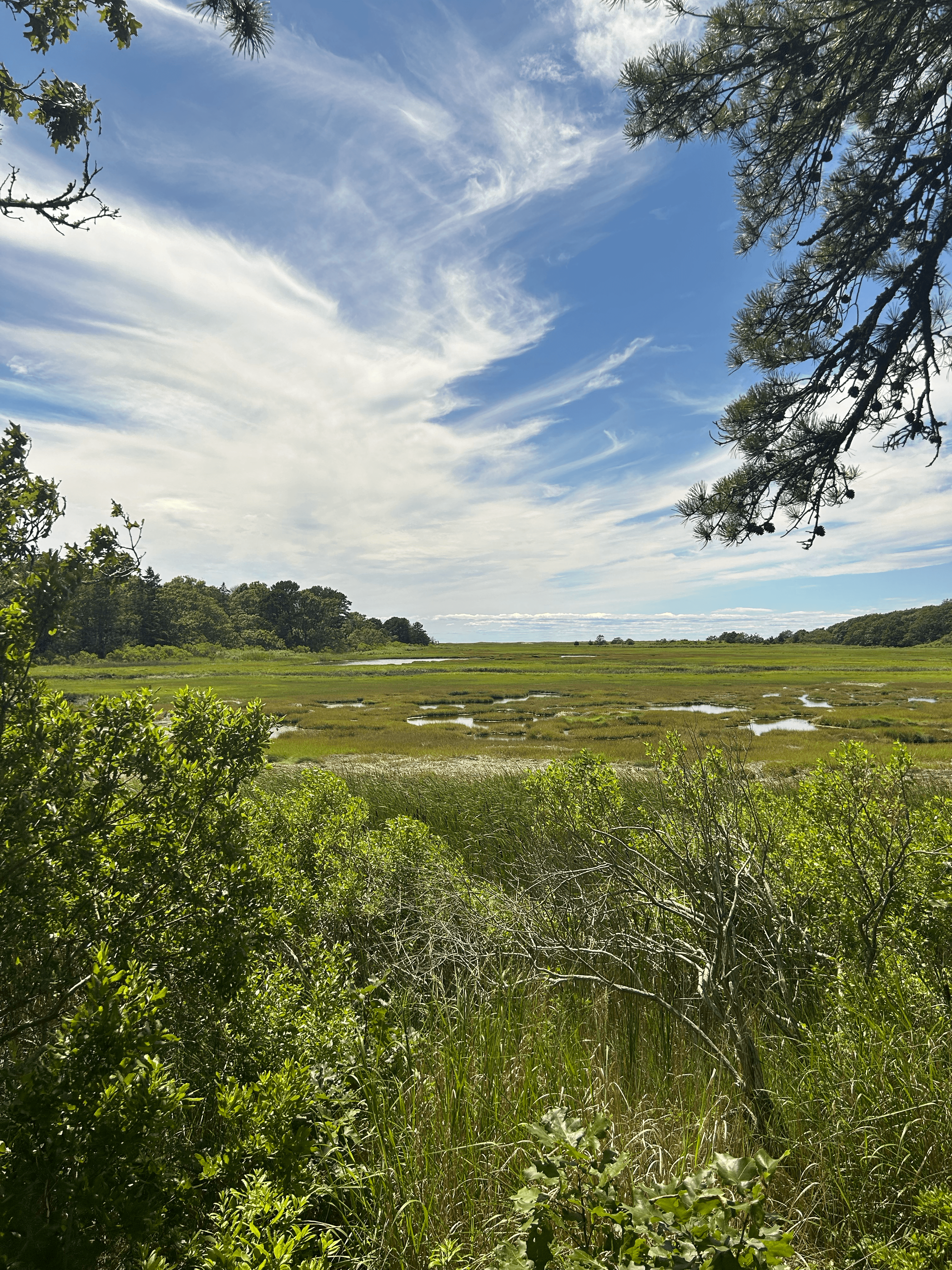 massachusetts img 3383 png
