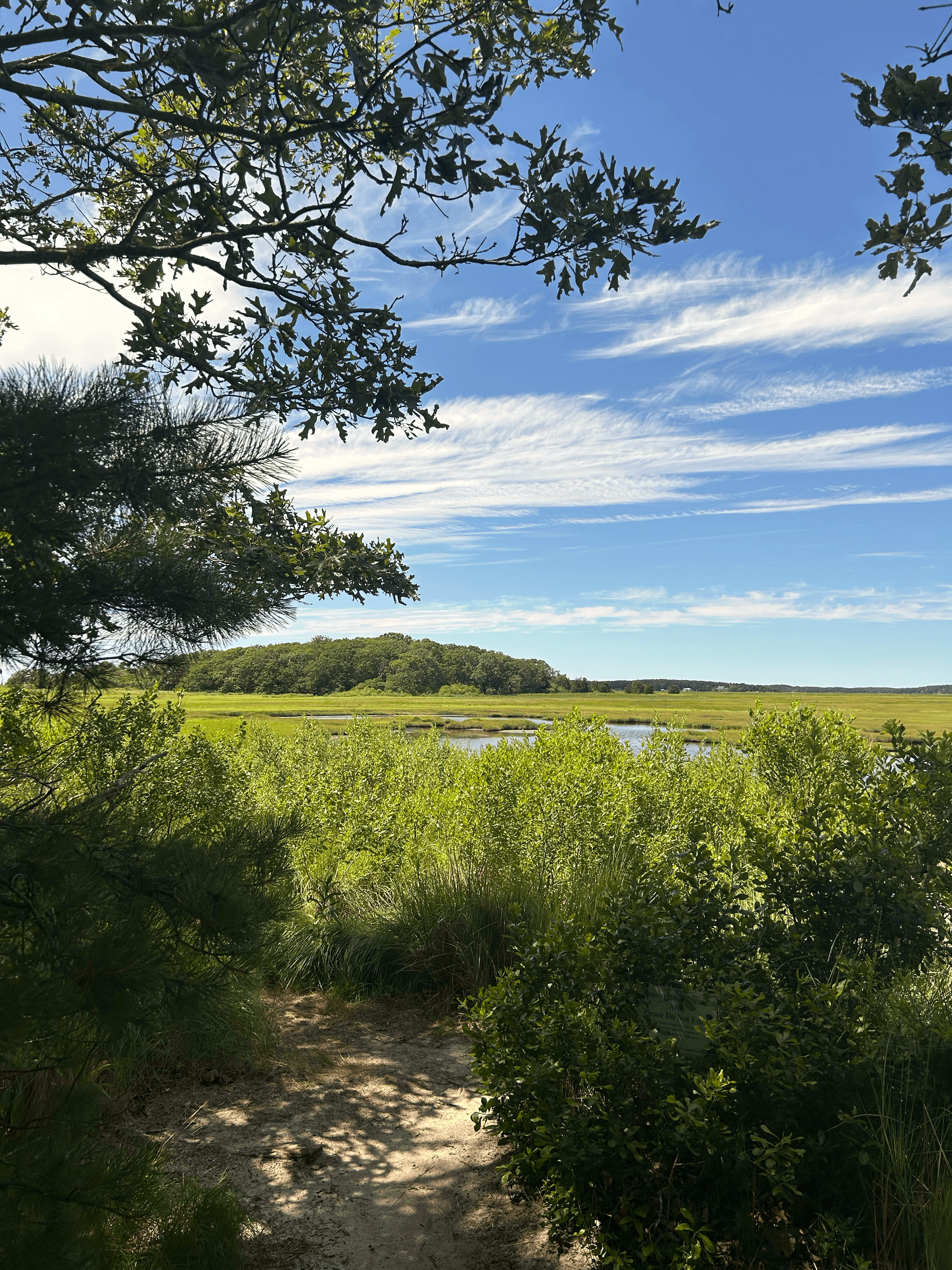 massachusetts img 3390 png