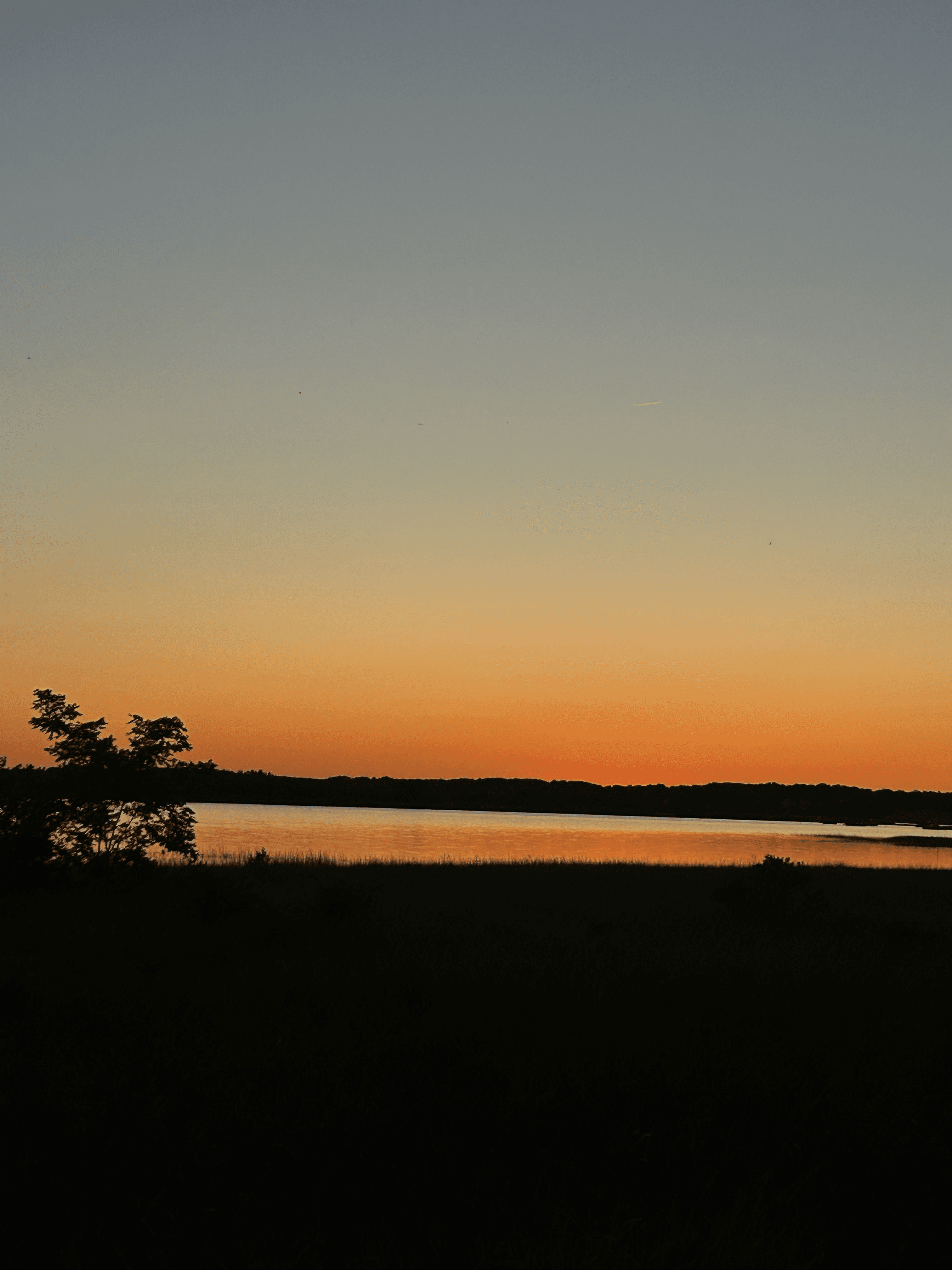 massachusetts img 3446 png