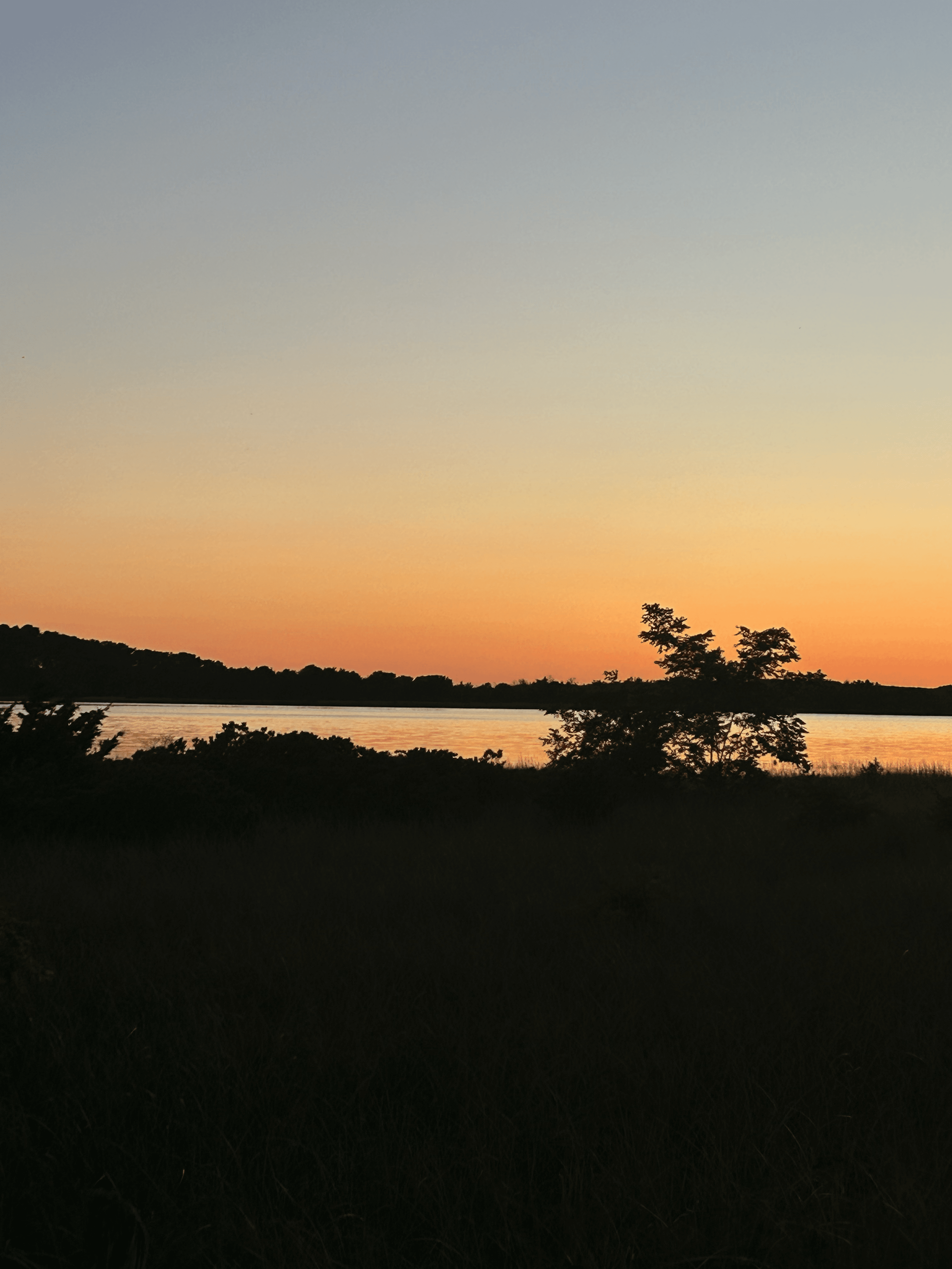 massachusetts img 3447 png