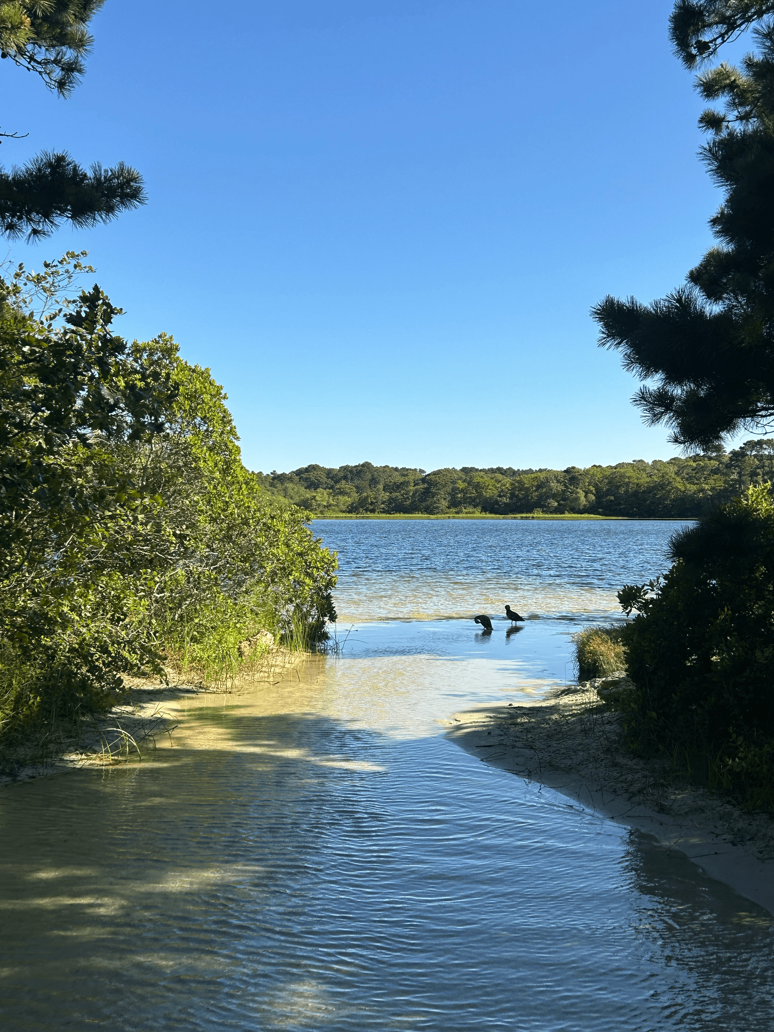massachusetts img 3480 png