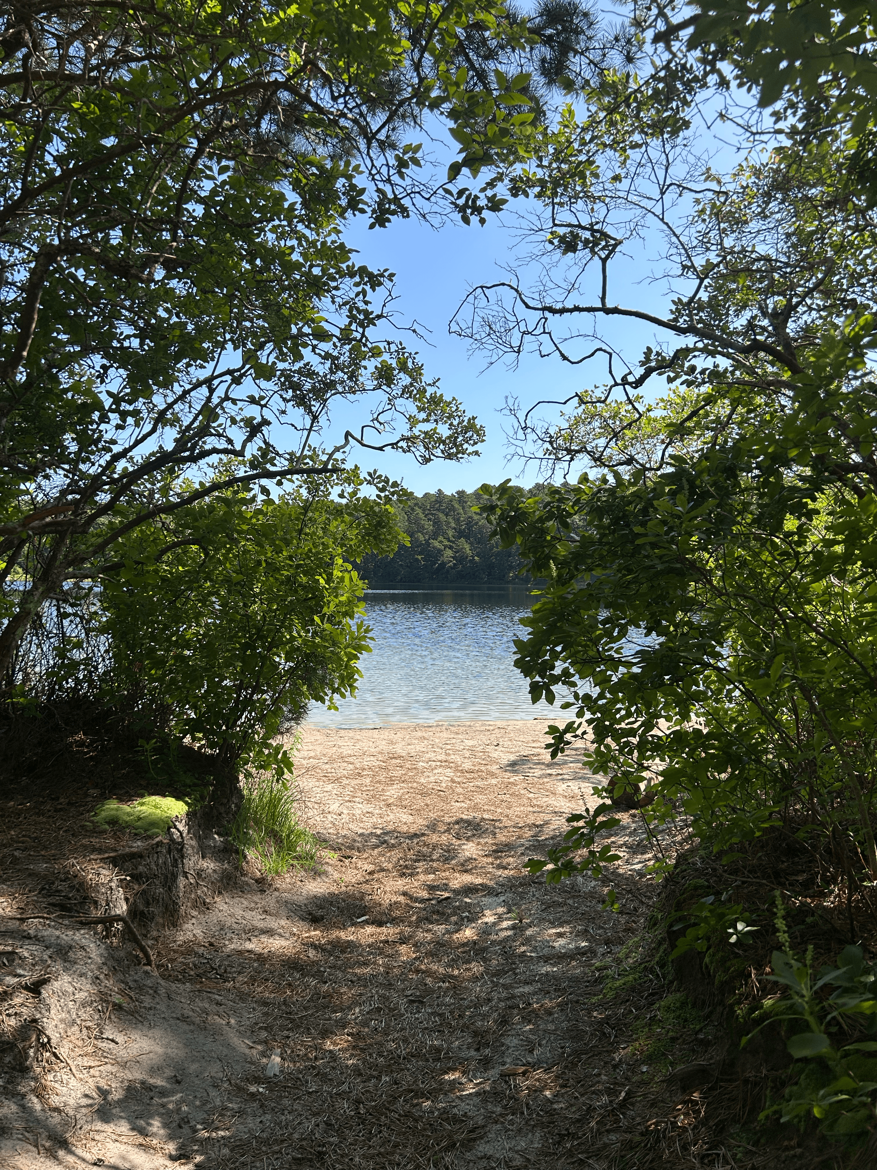 massachusetts img 3524 png
