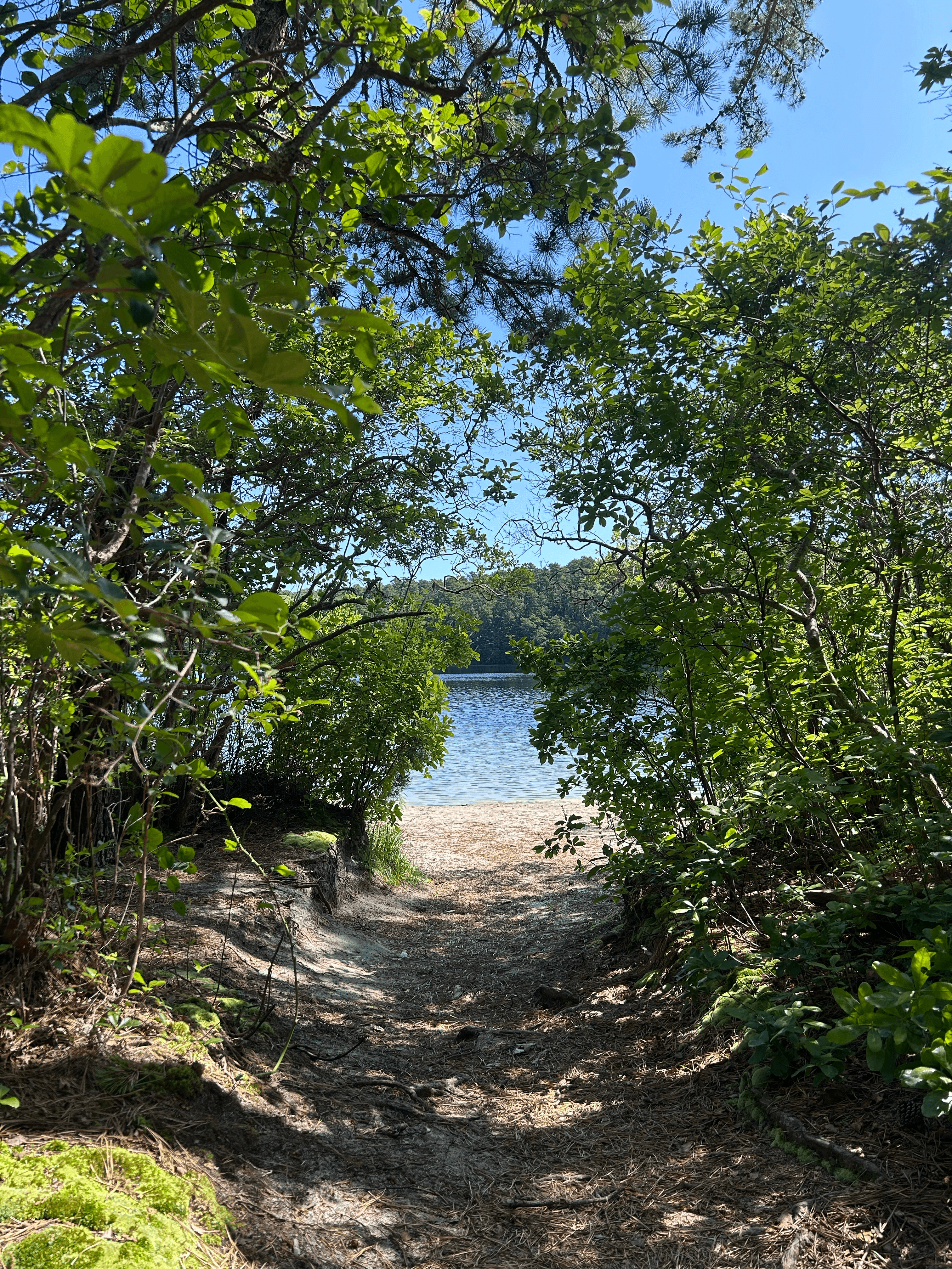 massachusetts img 3525 png