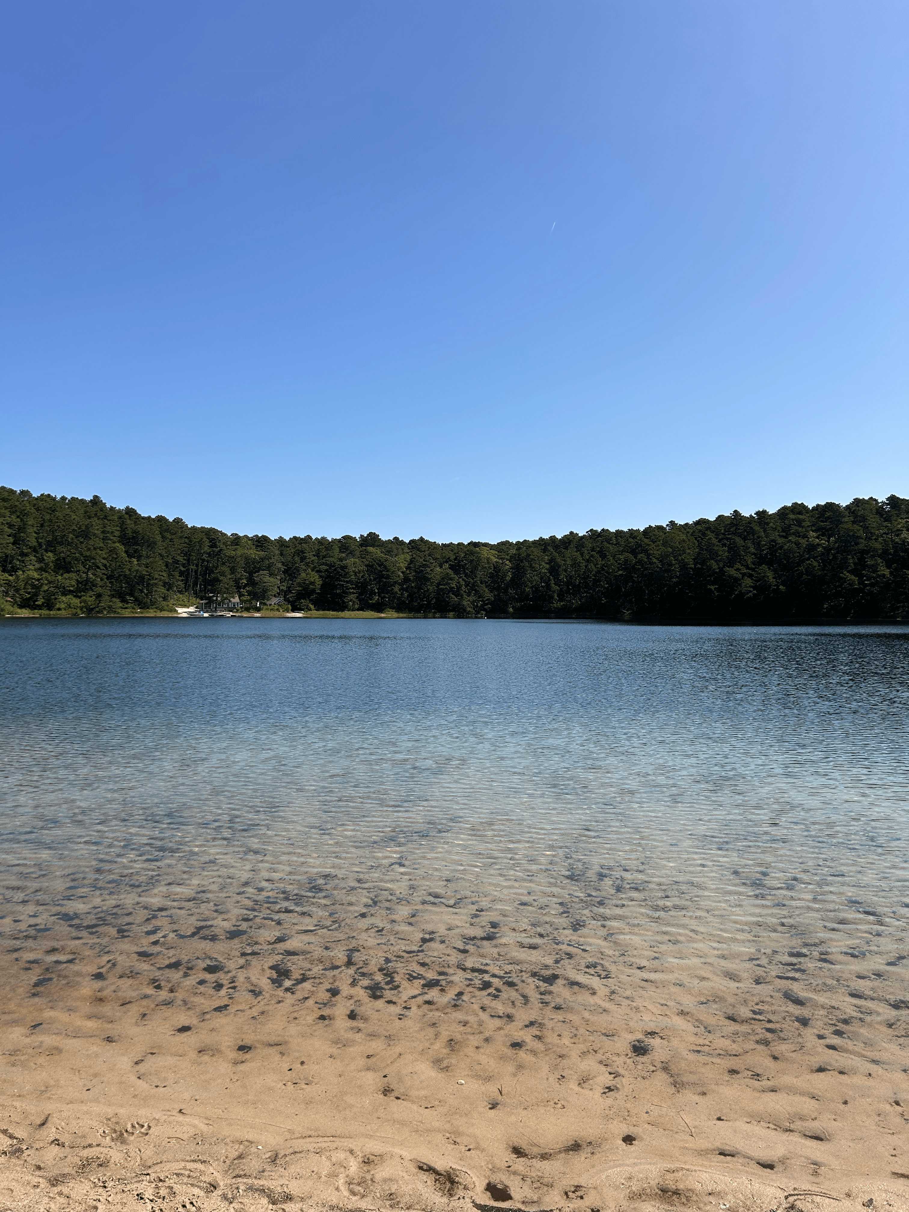 massachusetts img 3528 png