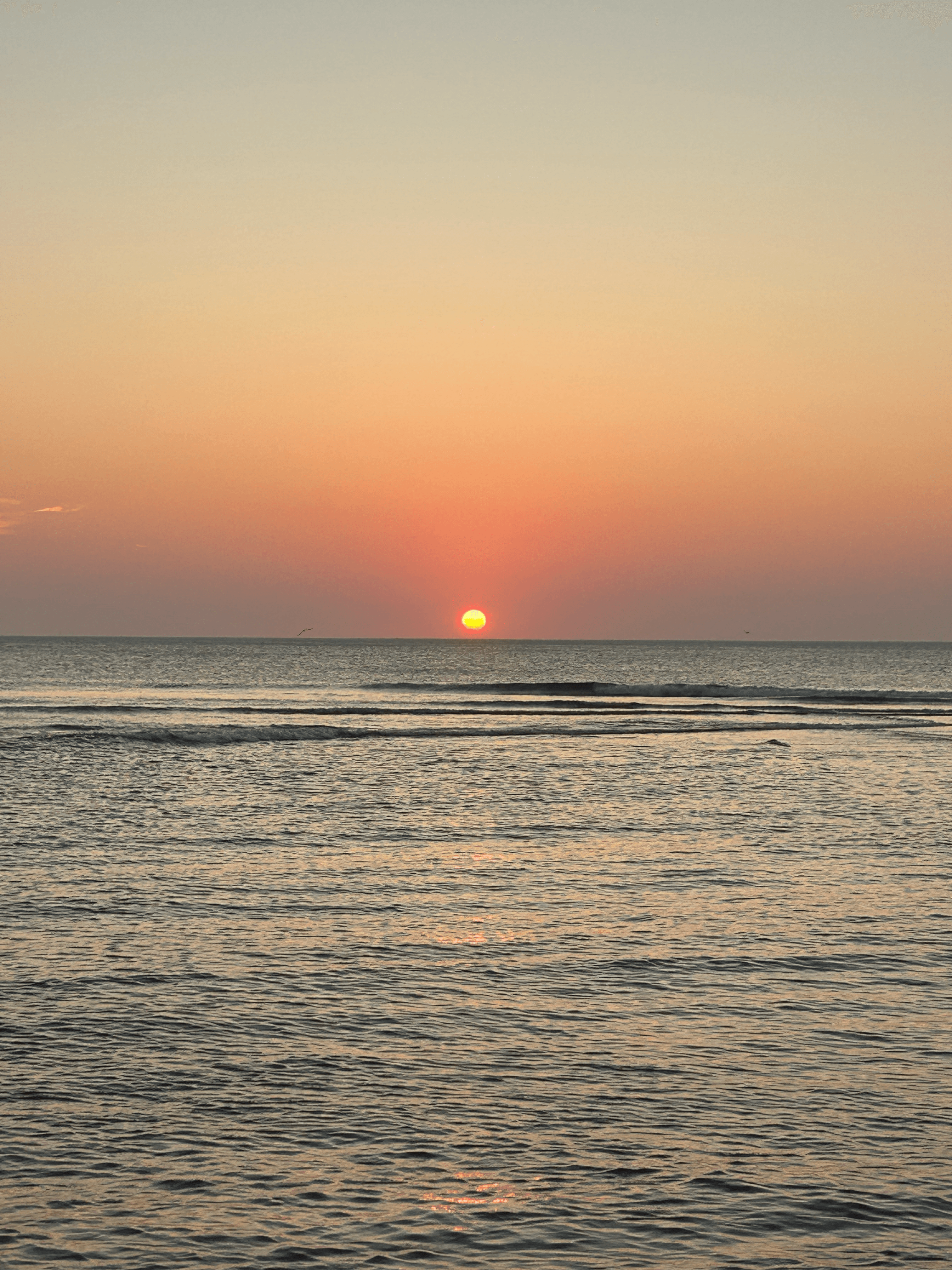 massachusetts img 3563 png