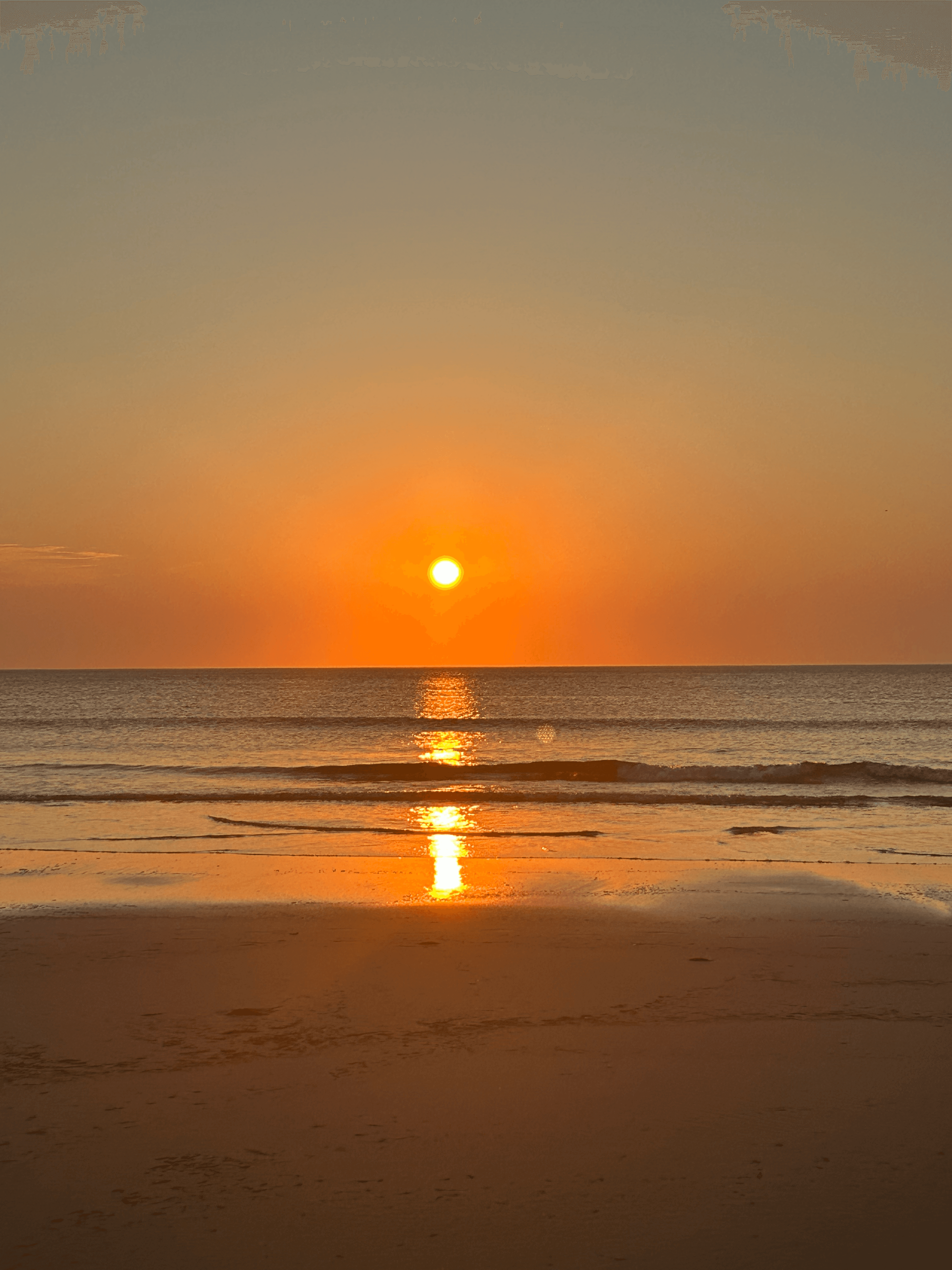 massachusetts img 3571 png