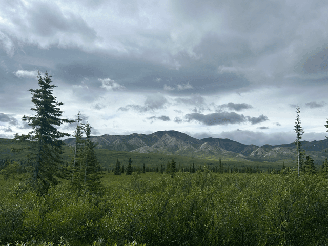 alaska wilderness landscape