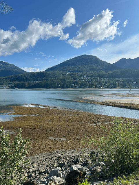 alaska wilderness landscape