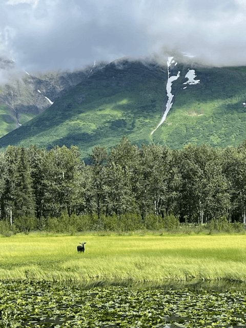 alaska wilderness landscape