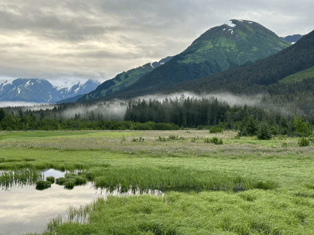 alaska wilderness landscape