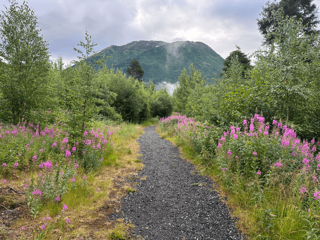 alaska wilderness landscape