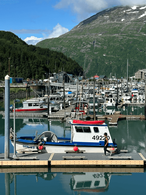 alaska wilderness landscape