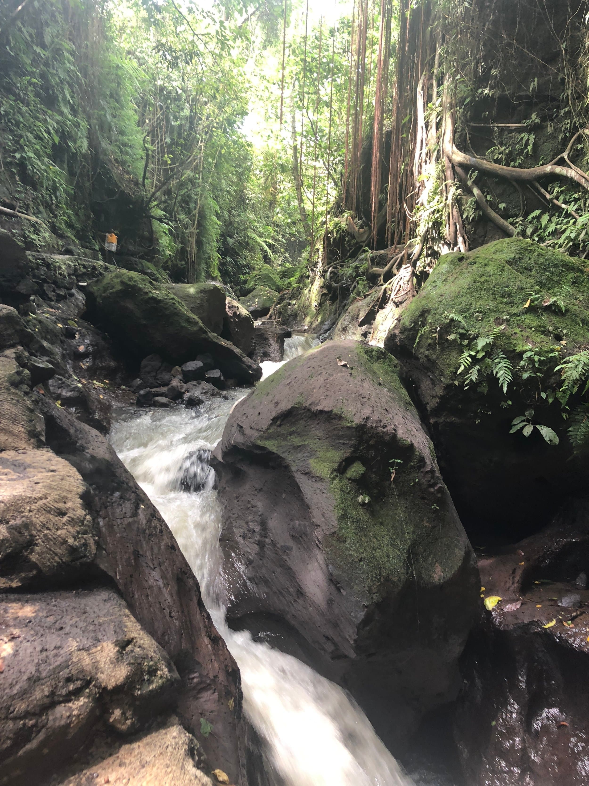 water resources water natural environment