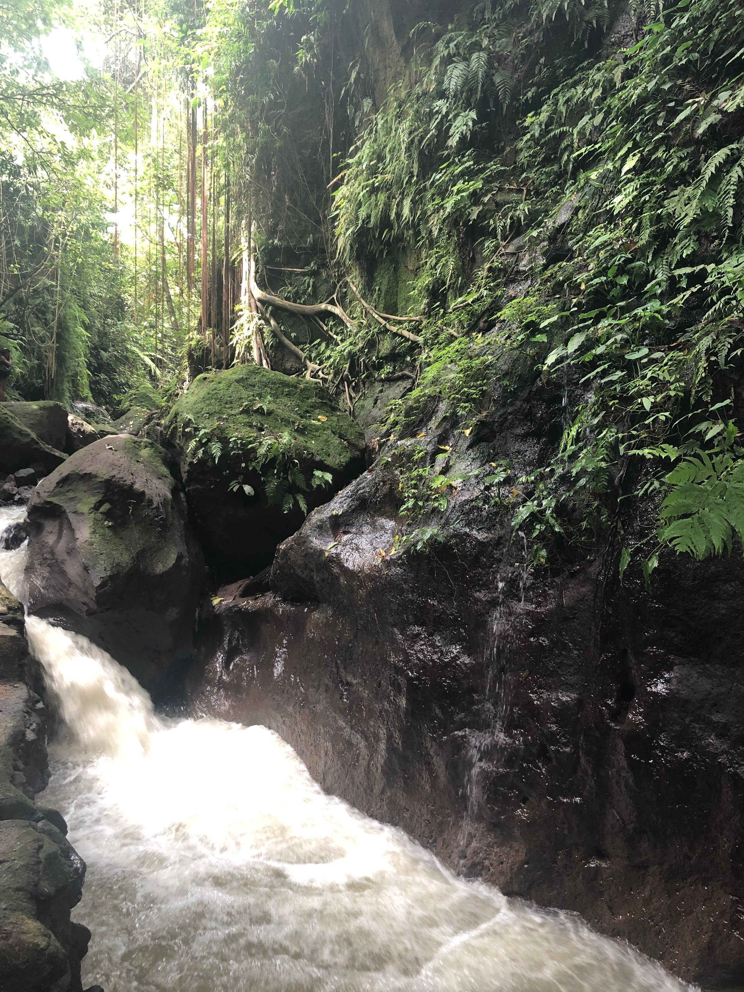 water resources water watercourse
