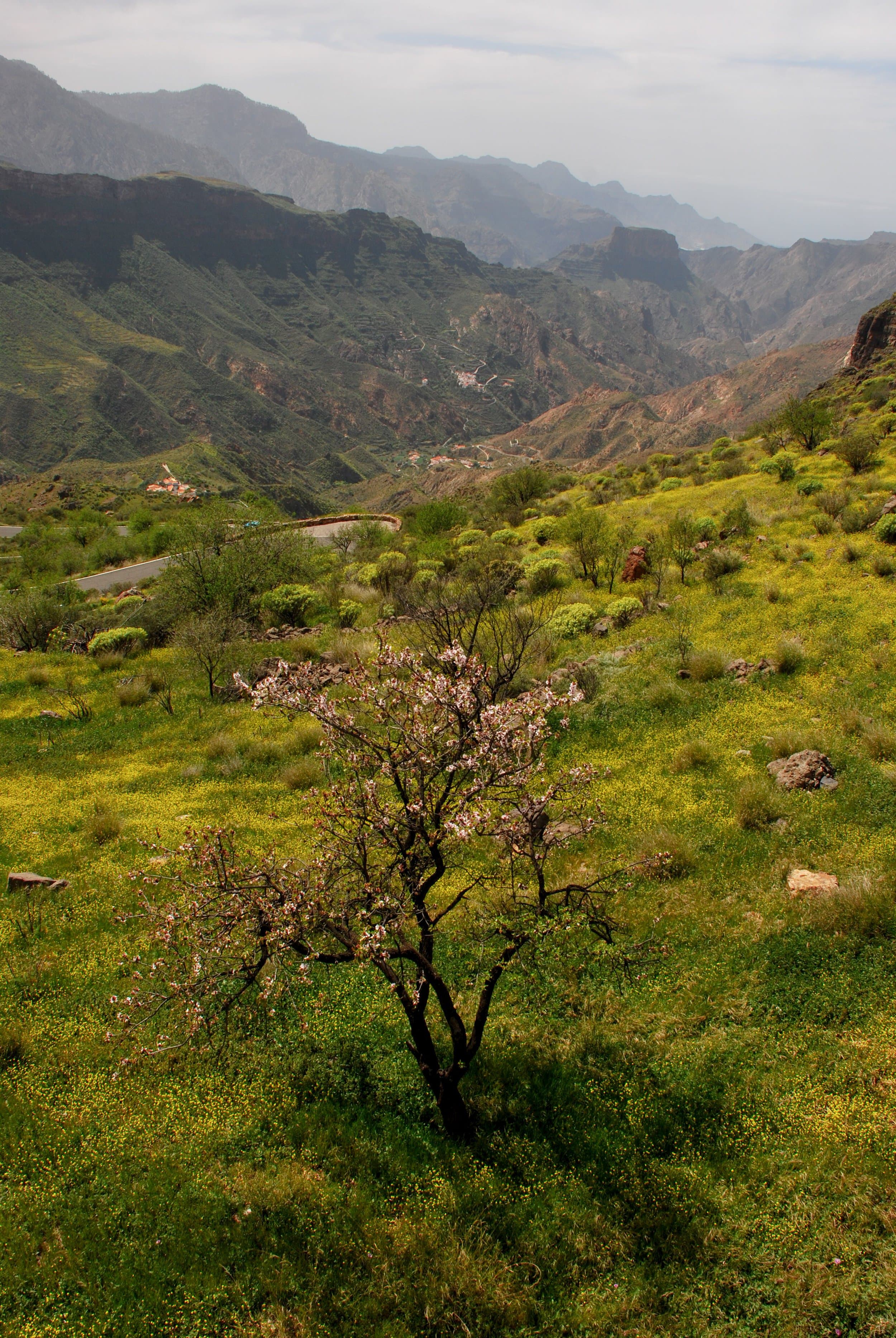 gran canaria mountainous landforms mountain hill