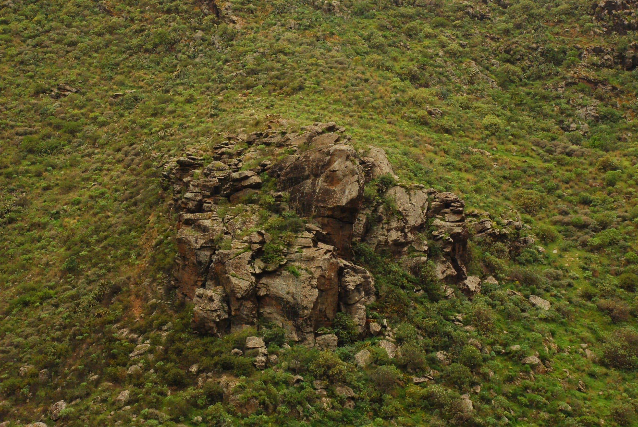 gran canaria vegetation terrain rock
