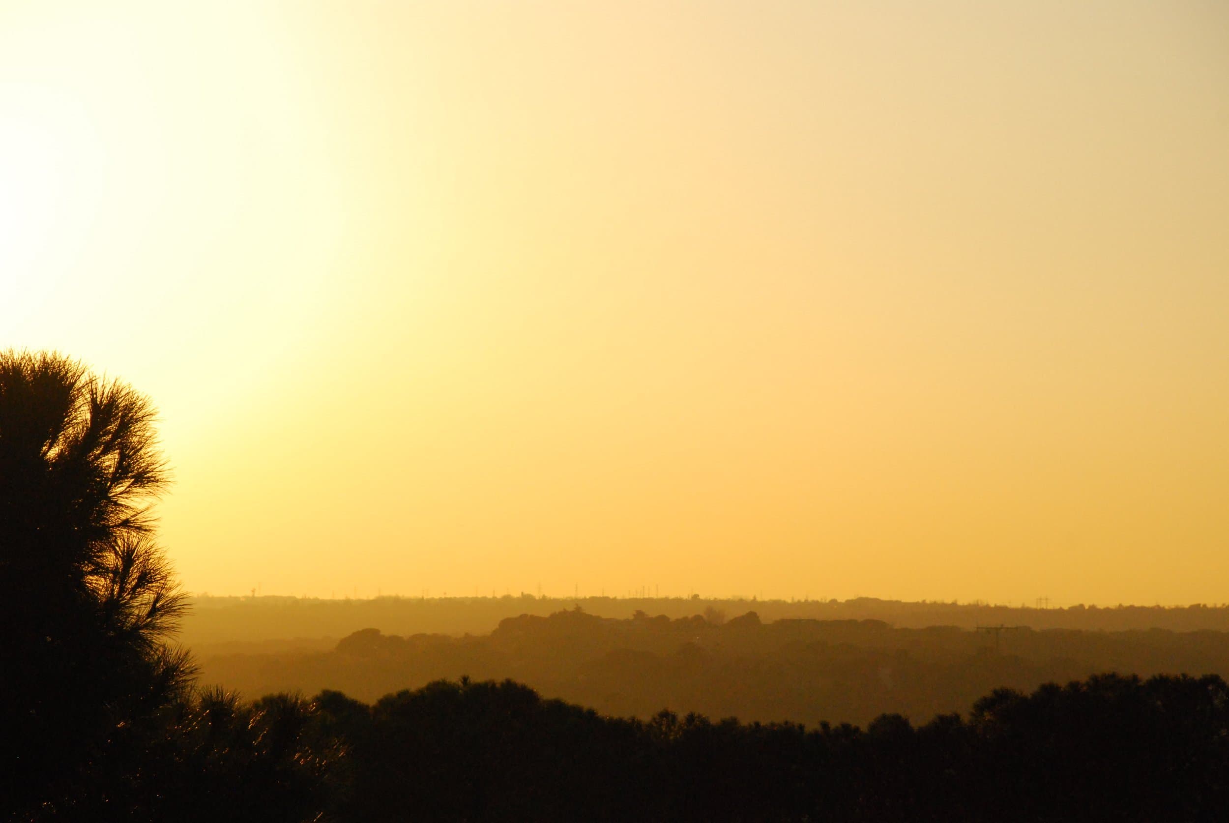 daytime yellow atmospheric phenomenon