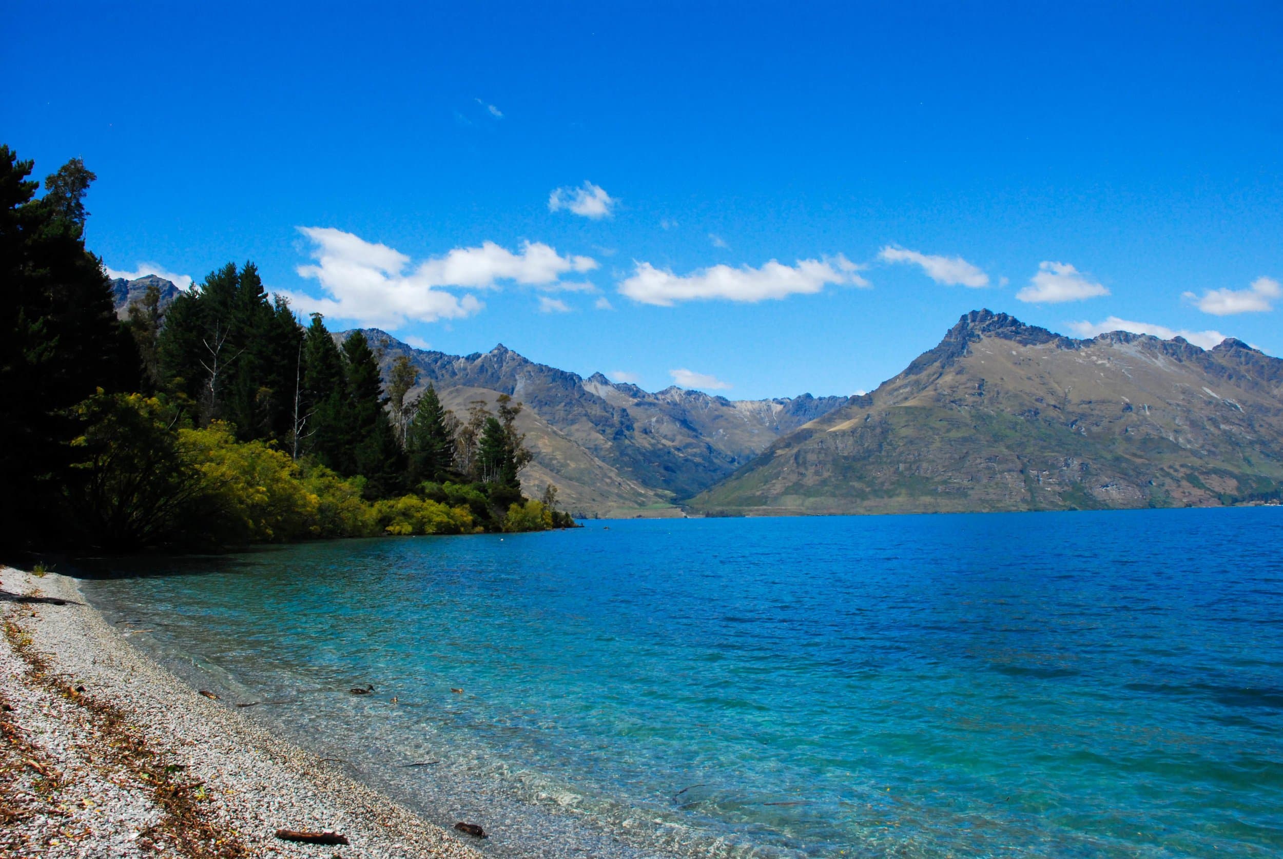 new zealand blue body of water water