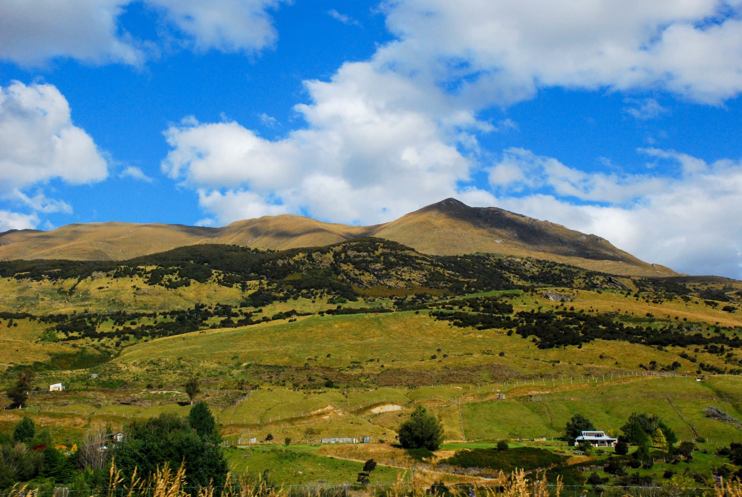 new zealand mountainous landforms mountain grass