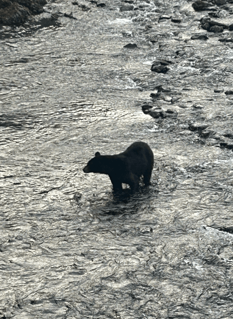 Cover image for Alaska