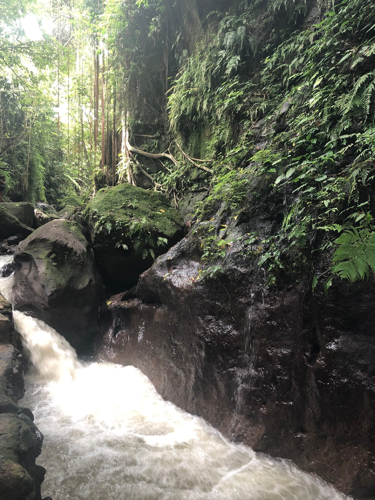 stream and watercourse in Bali