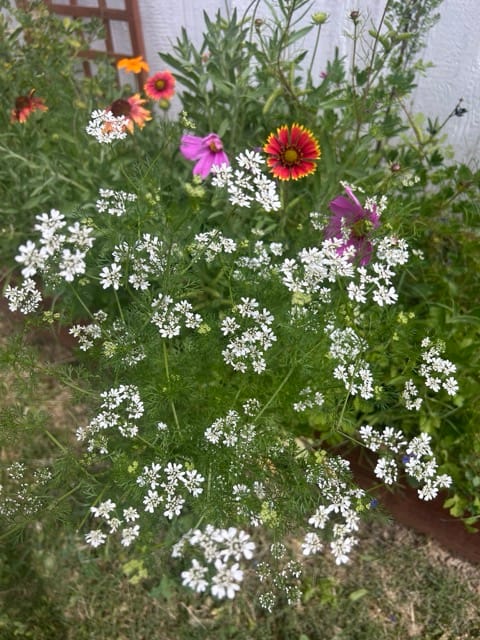 White flowers blooming among green garden leaves