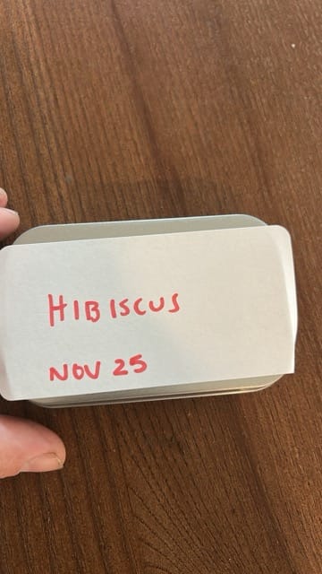 Labeled hibiscus seed container