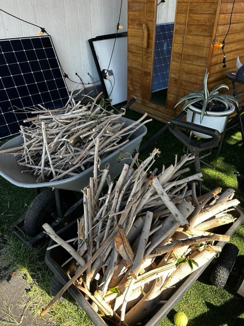 Pile of pruned branches beside garden tools